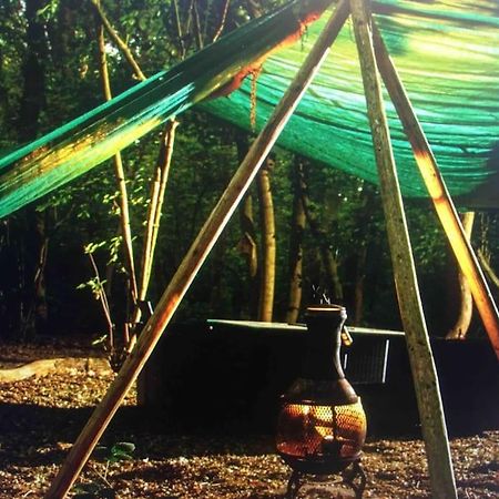 Magical Forest Yurt Sturry Экстерьер фото