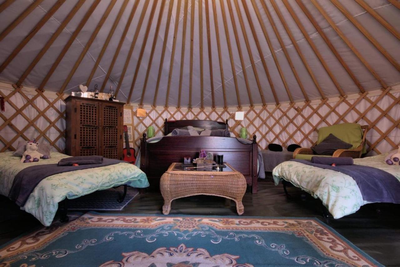 Magical Forest Yurt Sturry Экстерьер фото