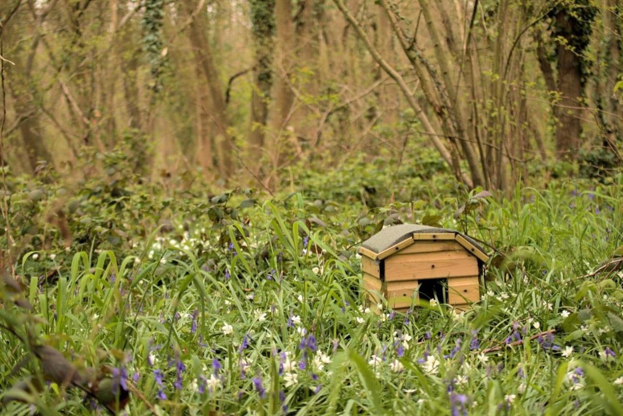 Magical Forest Yurt Sturry Экстерьер фото