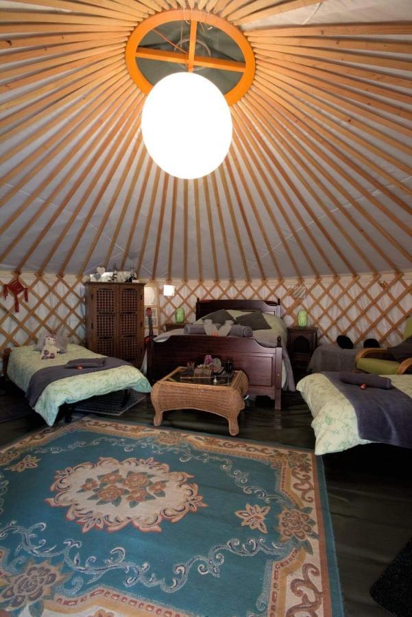 Magical Forest Yurt Sturry Экстерьер фото