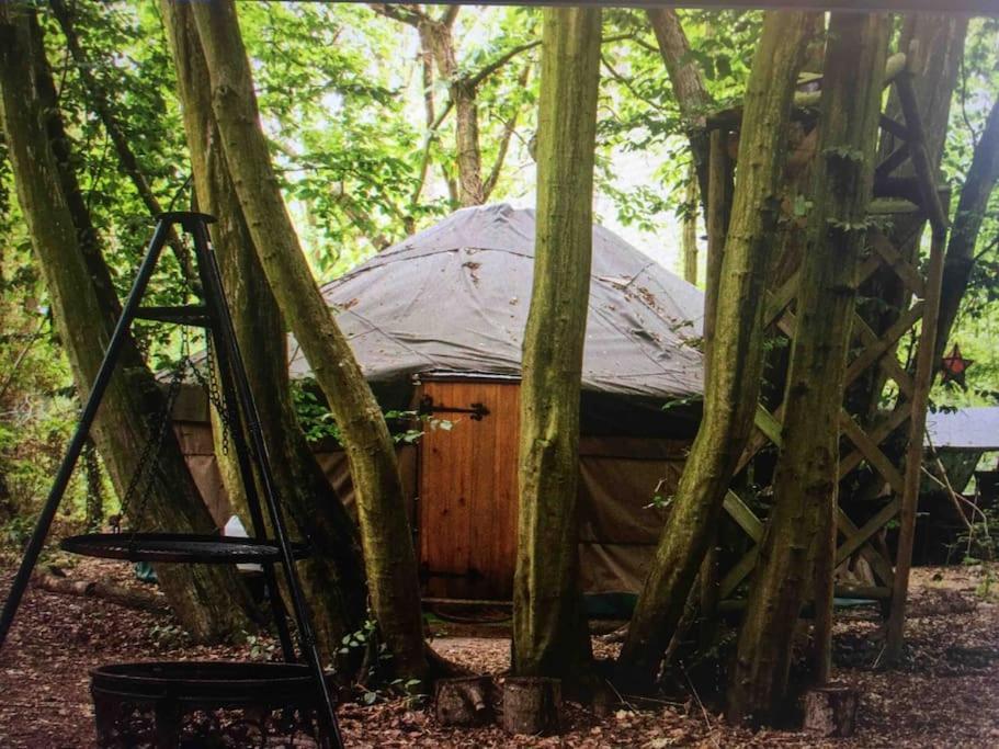 Magical Forest Yurt Sturry Экстерьер фото
