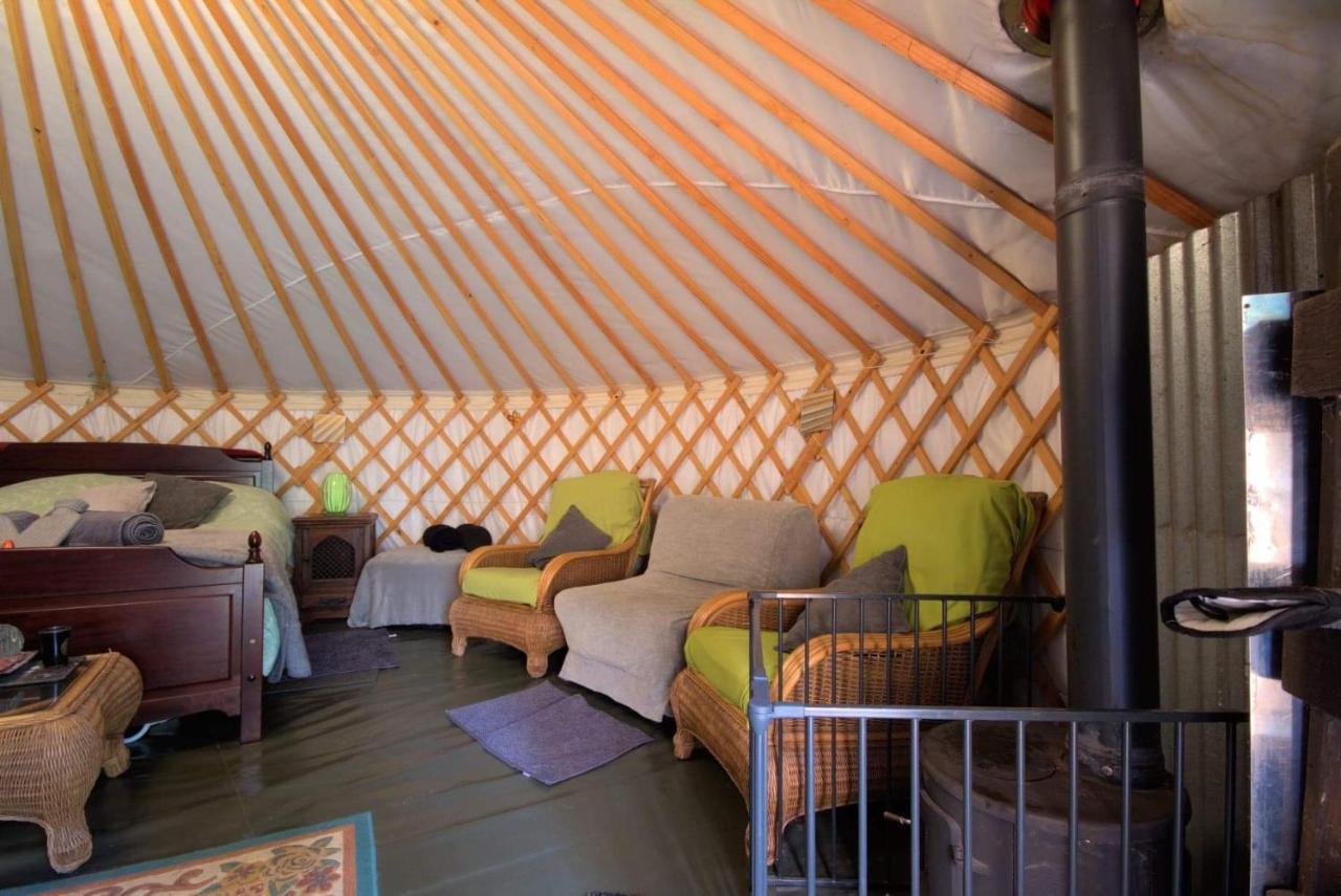 Magical Forest Yurt Sturry Экстерьер фото