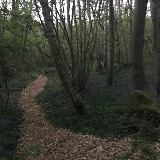 Magical Forest Yurt Sturry Экстерьер фото