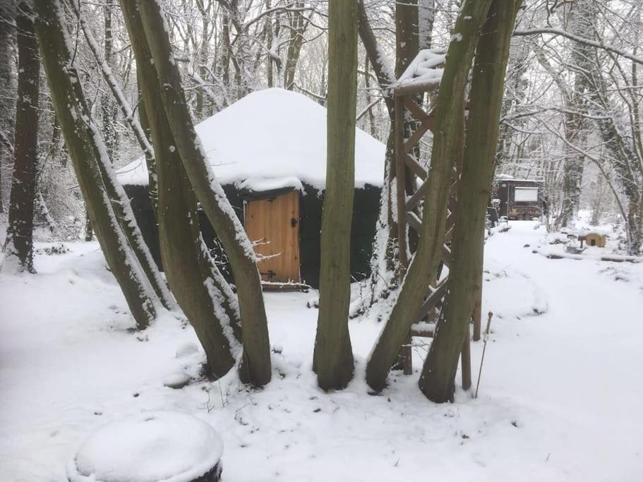 Magical Forest Yurt Sturry Экстерьер фото