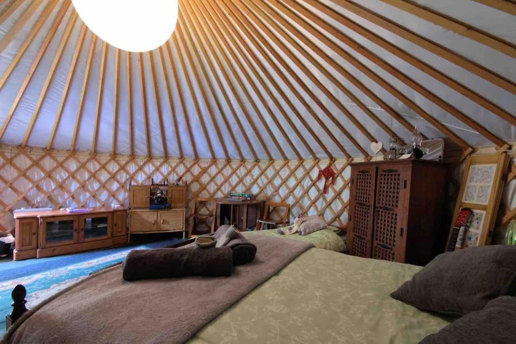 Magical Forest Yurt Sturry Экстерьер фото