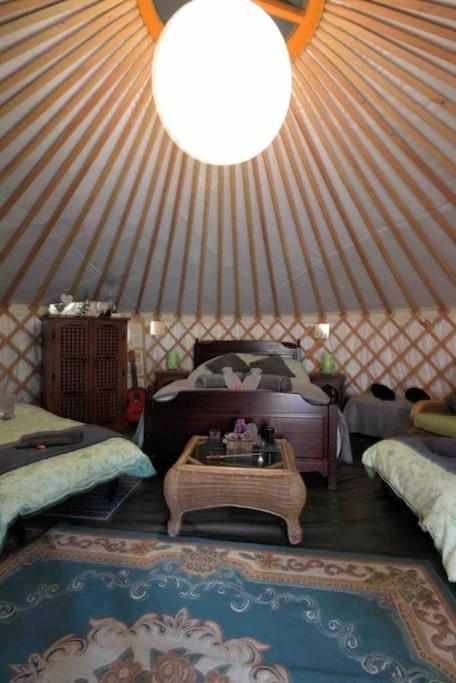 Magical Forest Yurt Sturry Экстерьер фото