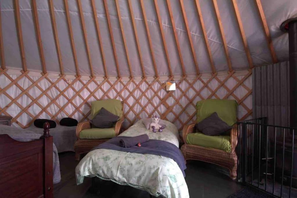 Magical Forest Yurt Sturry Экстерьер фото